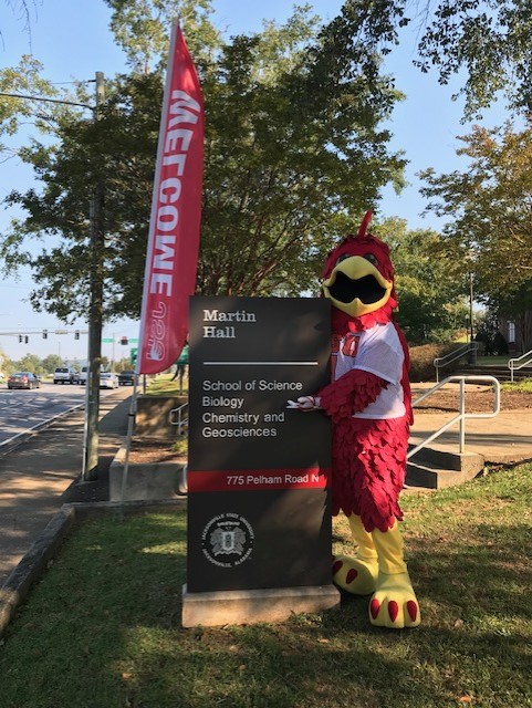 Picture of Cocky at the College of Science and Mathematics